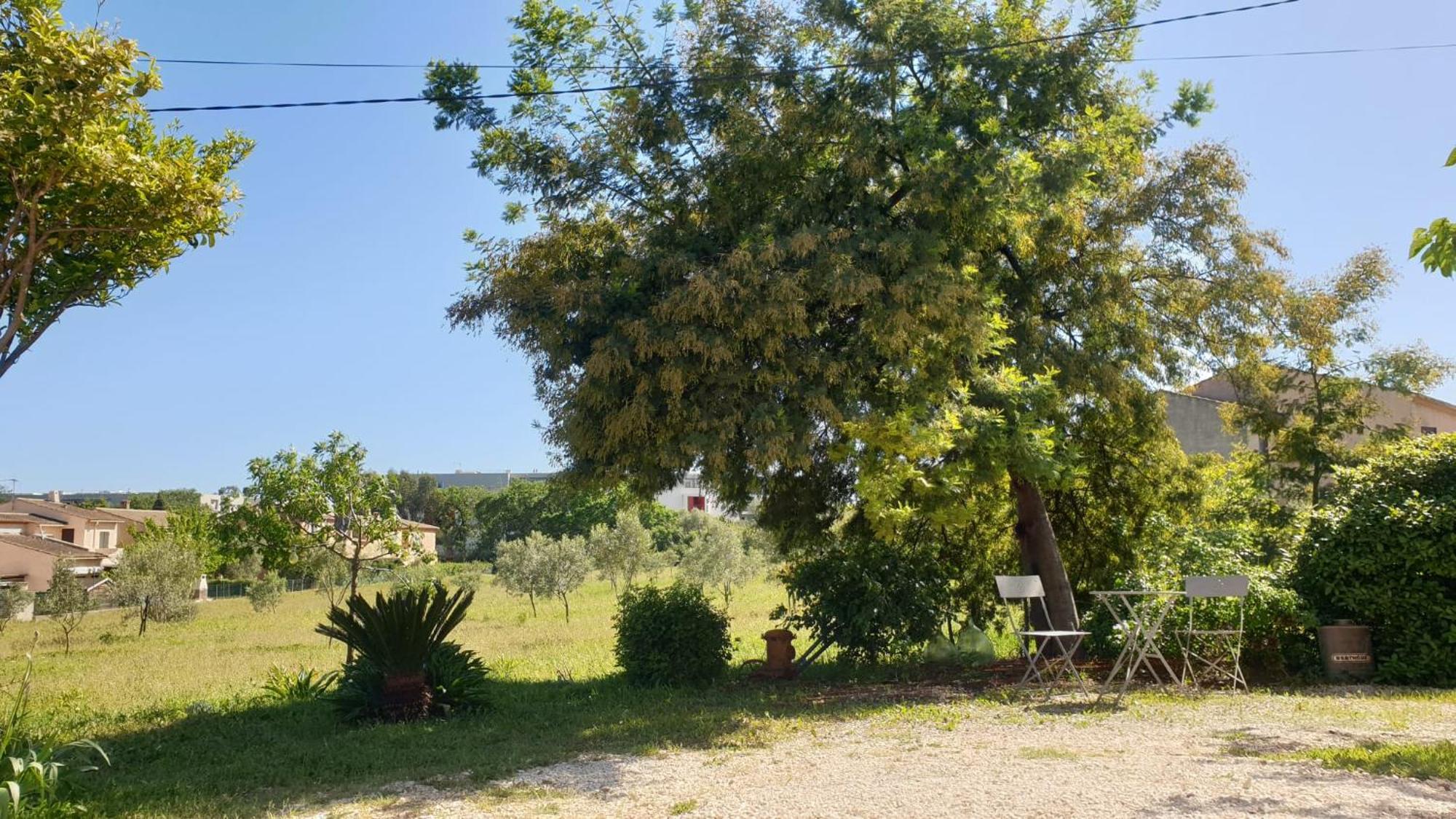 L'Oliveraie Hyères Extérieur photo